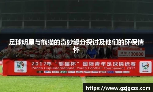 足球明星与熊猫的奇妙缘分探讨及他们的环保情怀